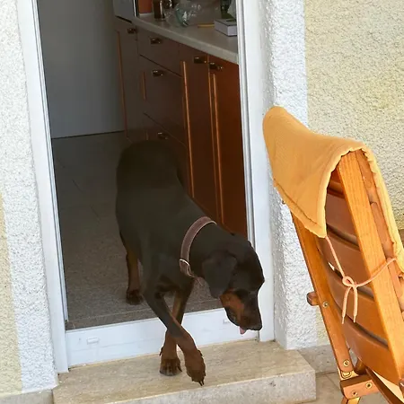 Prázdninový dům Haus Stipeto